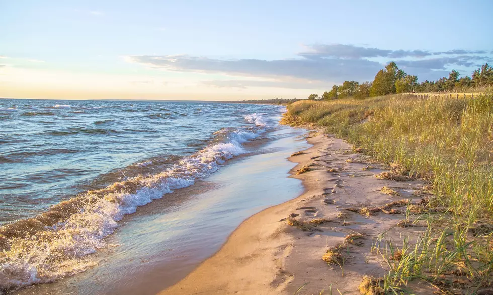 WARNING: These 2 MI Beaches Shut Down For High Bacteria Levels