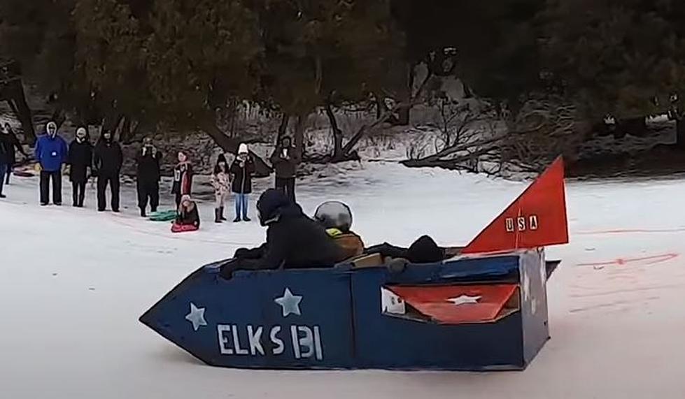 11 of the Best Cardboard Sleds from Battle Creek&#8217;s Festivus 2022