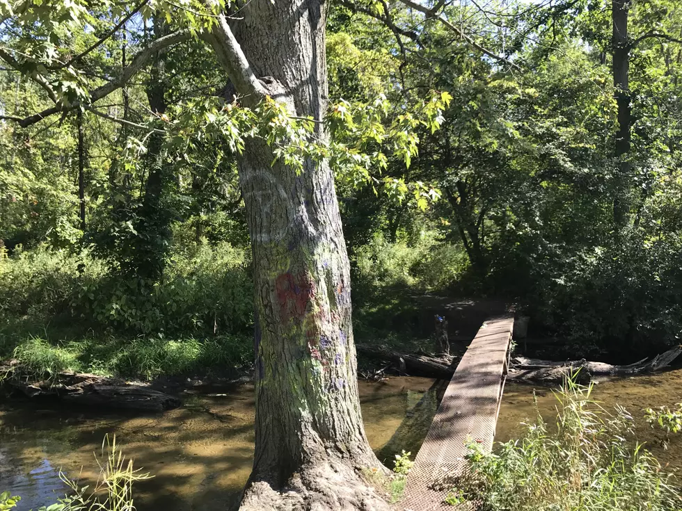 Haunted Places In Michigan – Hell’s Bridge