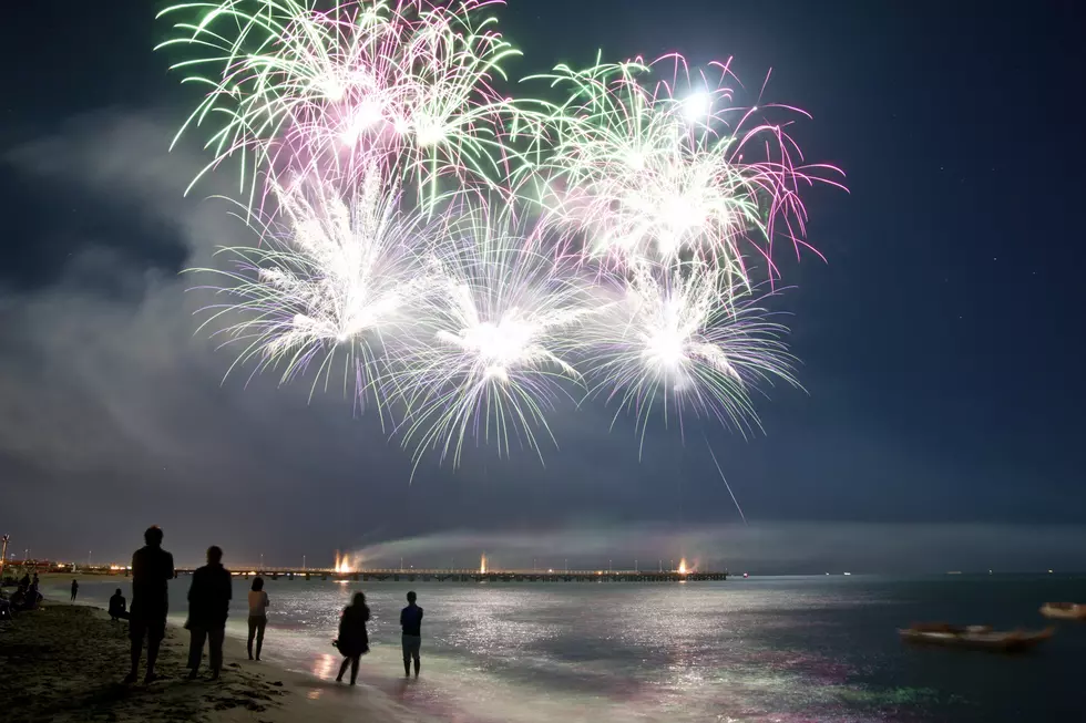 Keep Your Dog Safe In Kalamazoo This 4th of July