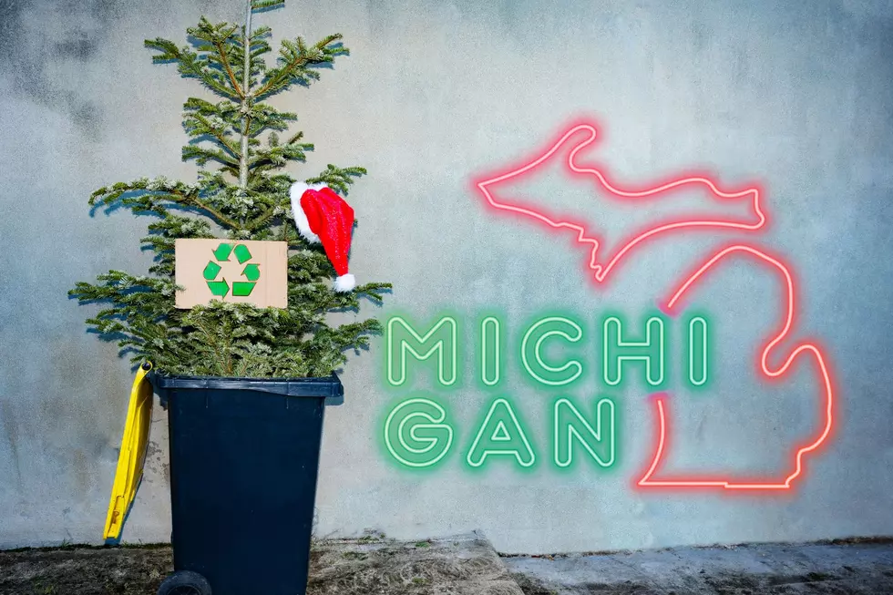 Here Are Options For Recycling Your Christmas Tree in SW Michigan:
