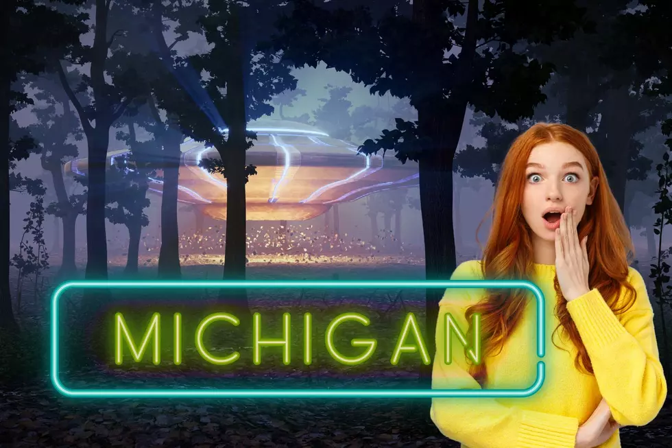 Did The Number of UFO Sightings In Michigan Increase In 2023?