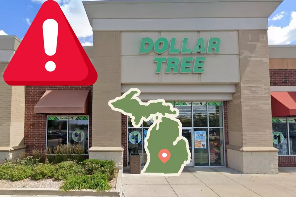 Dollar Tree Confirms Big Changes Affecting All Michigan Locations