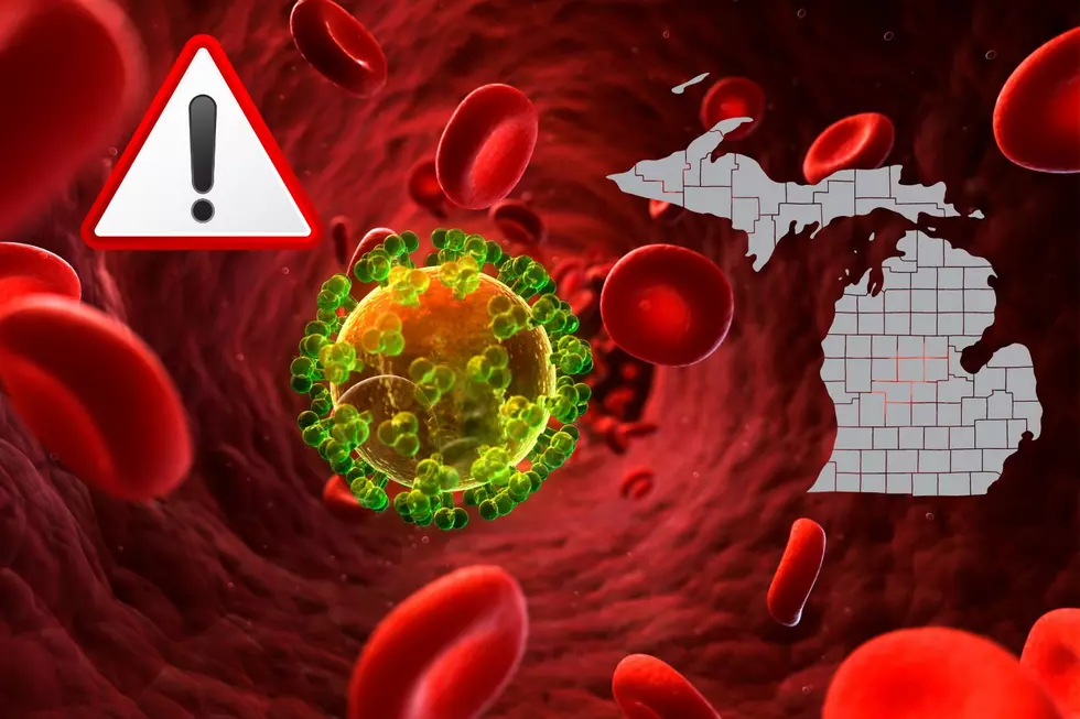 BEWARE-Dangerous Viral Disease Now Confirmed In More MI Counties