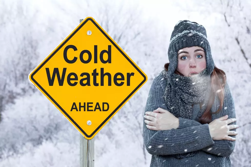 Michigan Expecting Bitter Cold Temperatures In Extended Forecast