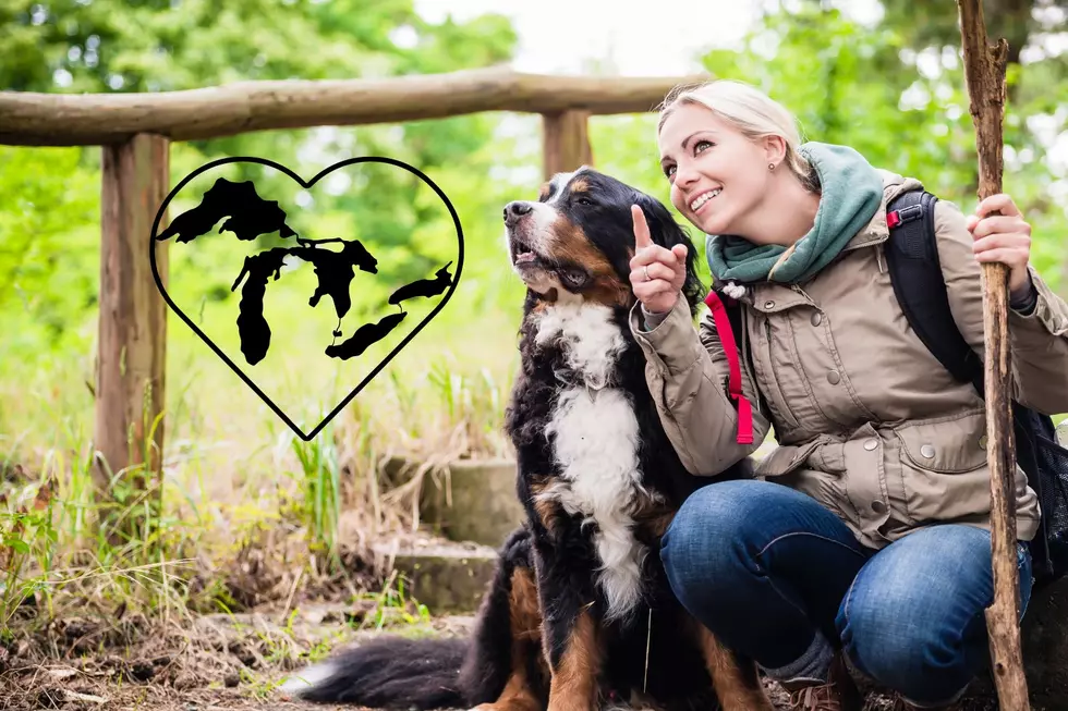 Explore These Dog-Friendly Trails in Southwest Michigan