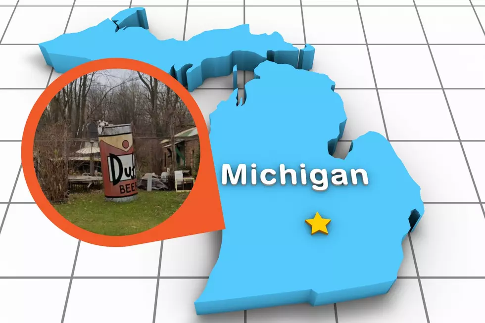 Duff Beer in Michigan? Maybe The Simpsons Lived Here After All