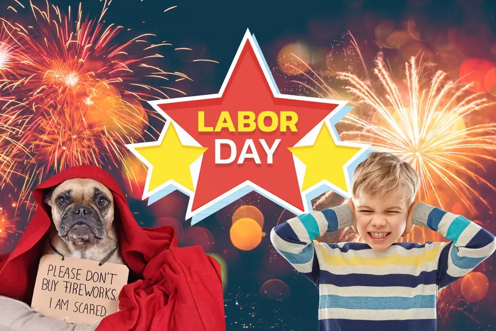 Labor Day Fireworks? Here’s What Michigan Law Says