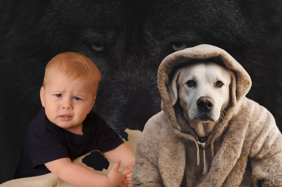 The Mysterious Michigan Dogman: Origins And Sightings Revealed
