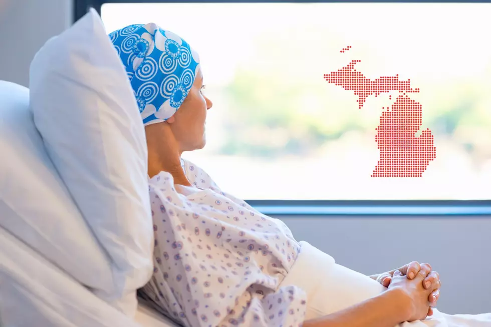 Michigan Counties Reveal Surprising Cancer Rate Patterns