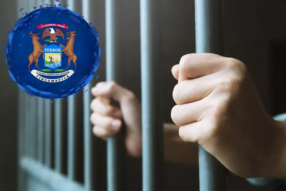 Michigan 13-Year-Old Jailed For Deadly Stabbing of Younger Sister