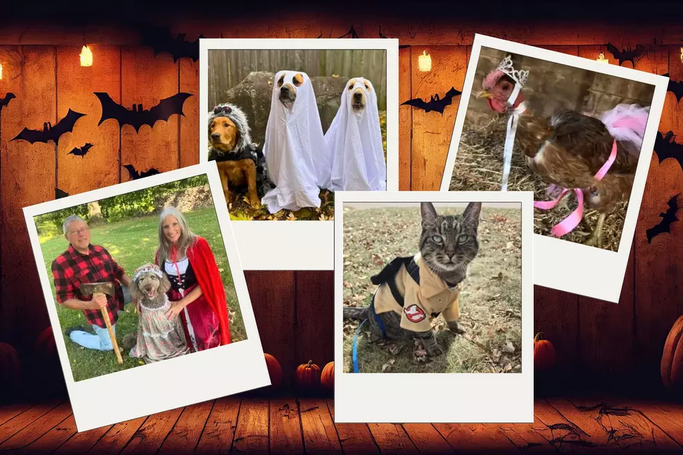 Photos of Southwest Michigan Pets in Costume for Pet-O-Ween 2024