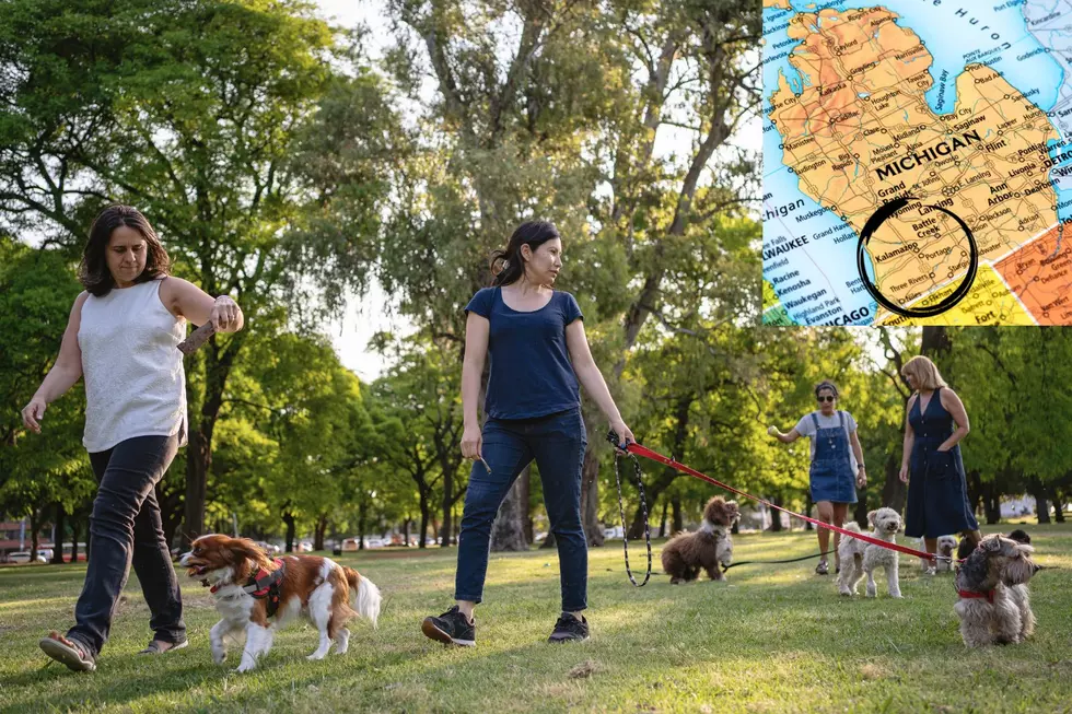 Complete Guide to Dog Parks in the Kalamazoo Area