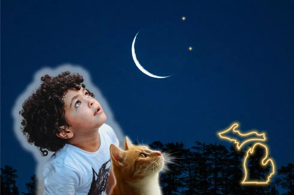 Michigan’s Night Sky Will Dazzle During Rare Planetary Alignment
