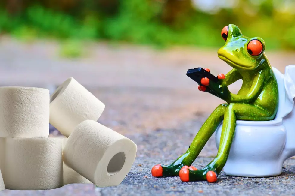 Michigan: You’ll Be Sorry If You Flush These Items Down the Toilet