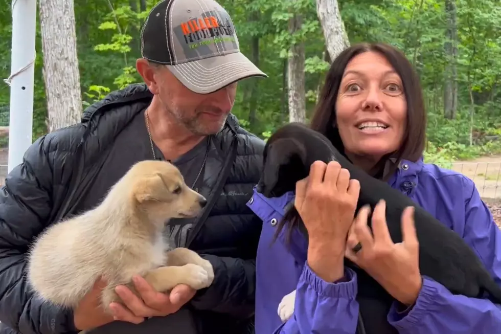 Give Your Road Trip A Puppy Cuddle Twist In The U.P.