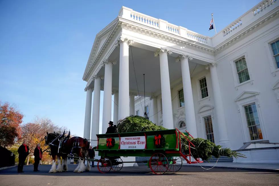 Michigan Farm to Provide 2025 White House Christmas Tree