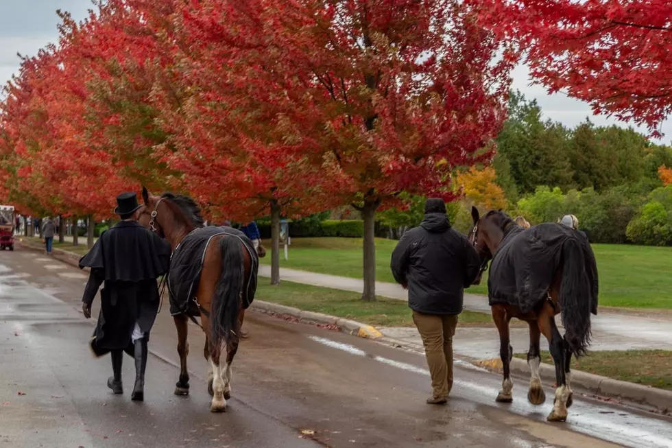 Iconic Carriage Horses Are Leaving Mackinac Island to Begin Winter Rest