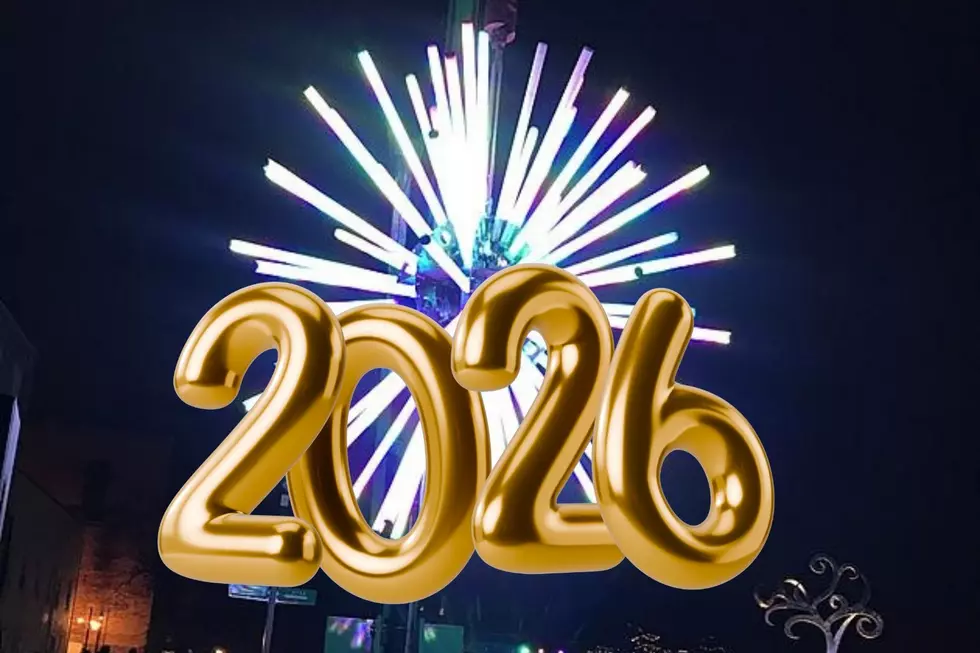 Michigan’s Largest New Year’s Eve Ball Drop Returns to Allegan