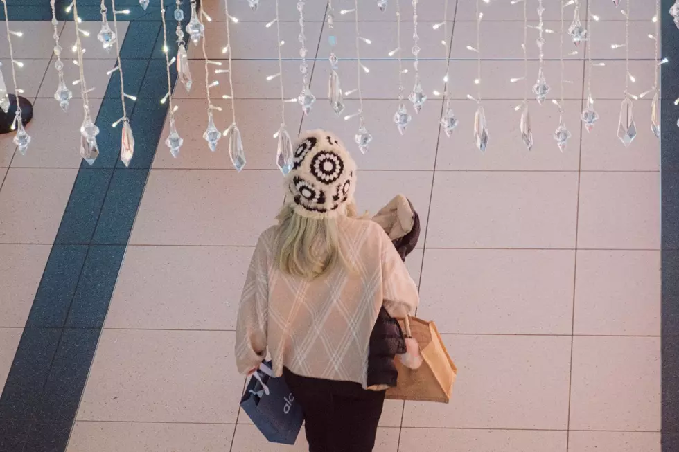 Smart Holiday Shopping Safety Tips for Michigan Residents