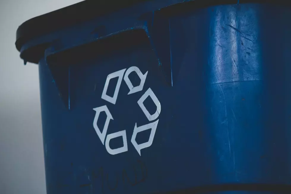 Warning: These Items Are Banned From Recycling Bins In Michigan