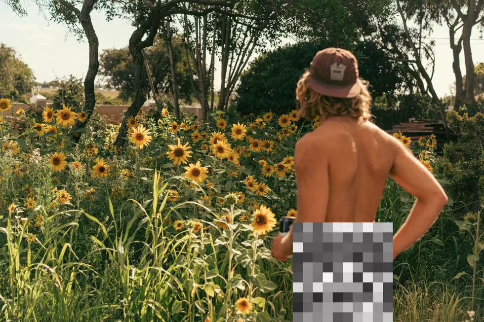 Nude In Your Backyard? Here’s What Michigan Law Says