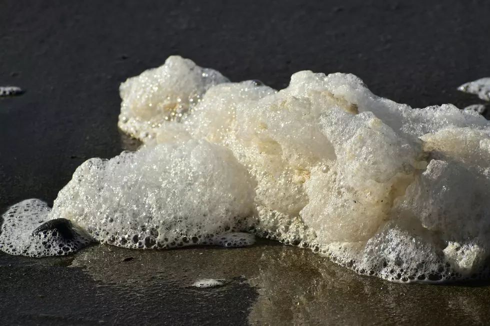 Michigan Officials Warn Families and Pets to Avoid Lake Foam